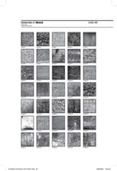 The Black Locomotive