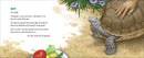 Memoirs of a Tortoise