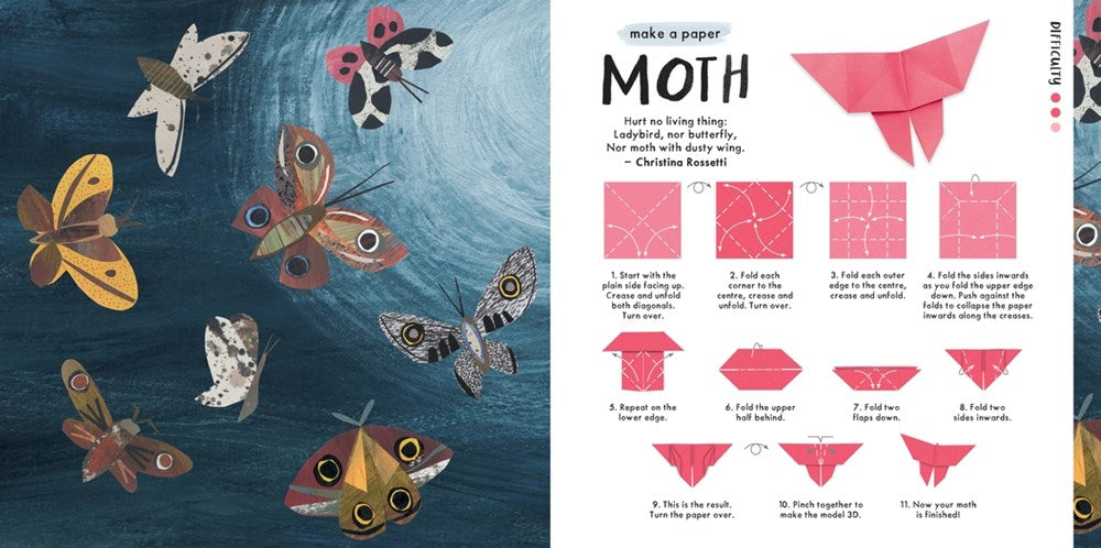 Origami and Poetry: Inspired by Nature