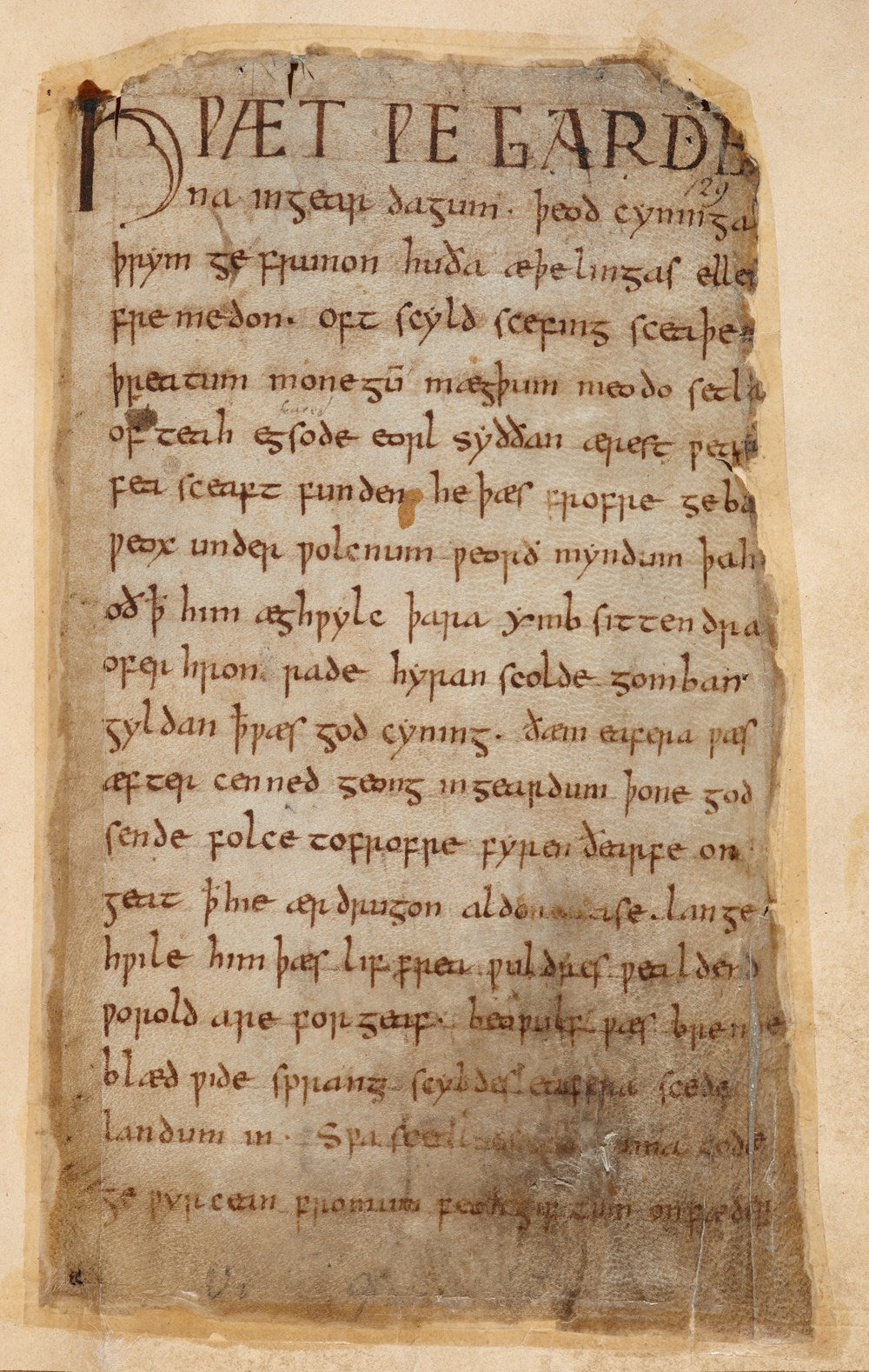 The Gilded Page