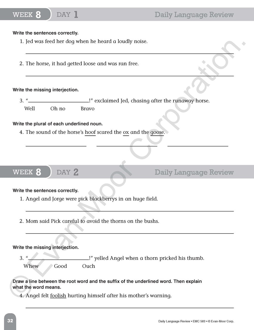 Daily Language Review, Grade 5 Teacher Edition