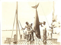 Hemingway and Bimini