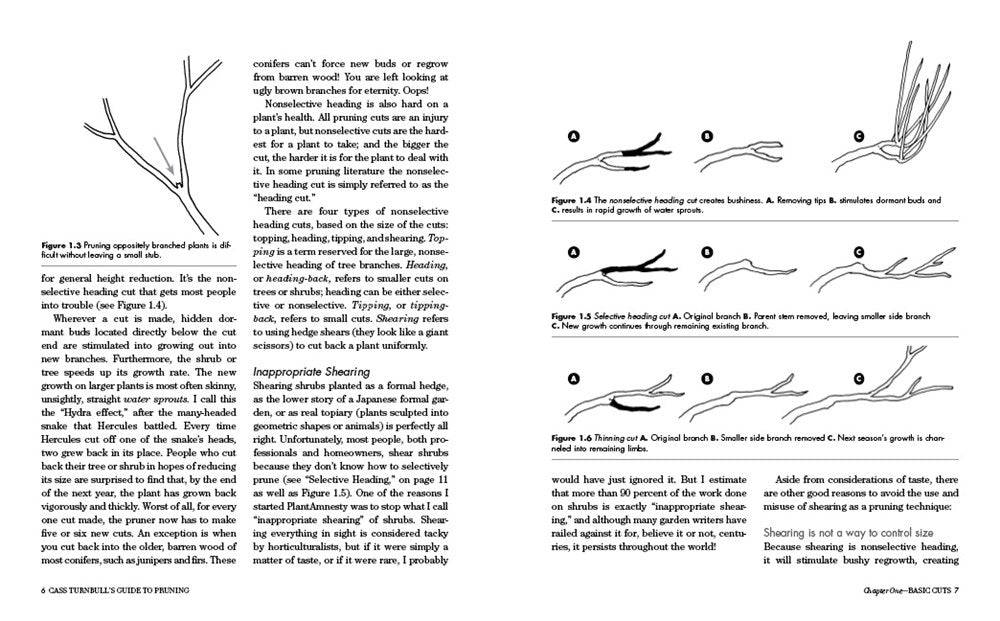Cass Turnbull's Guide to Pruning, 3rd Edition