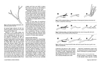 Cass Turnbull's Guide to Pruning, 3rd Edition