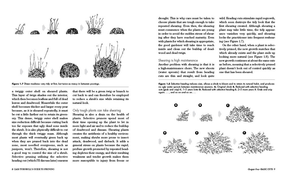 Cass Turnbull's Guide to Pruning, 3rd Edition