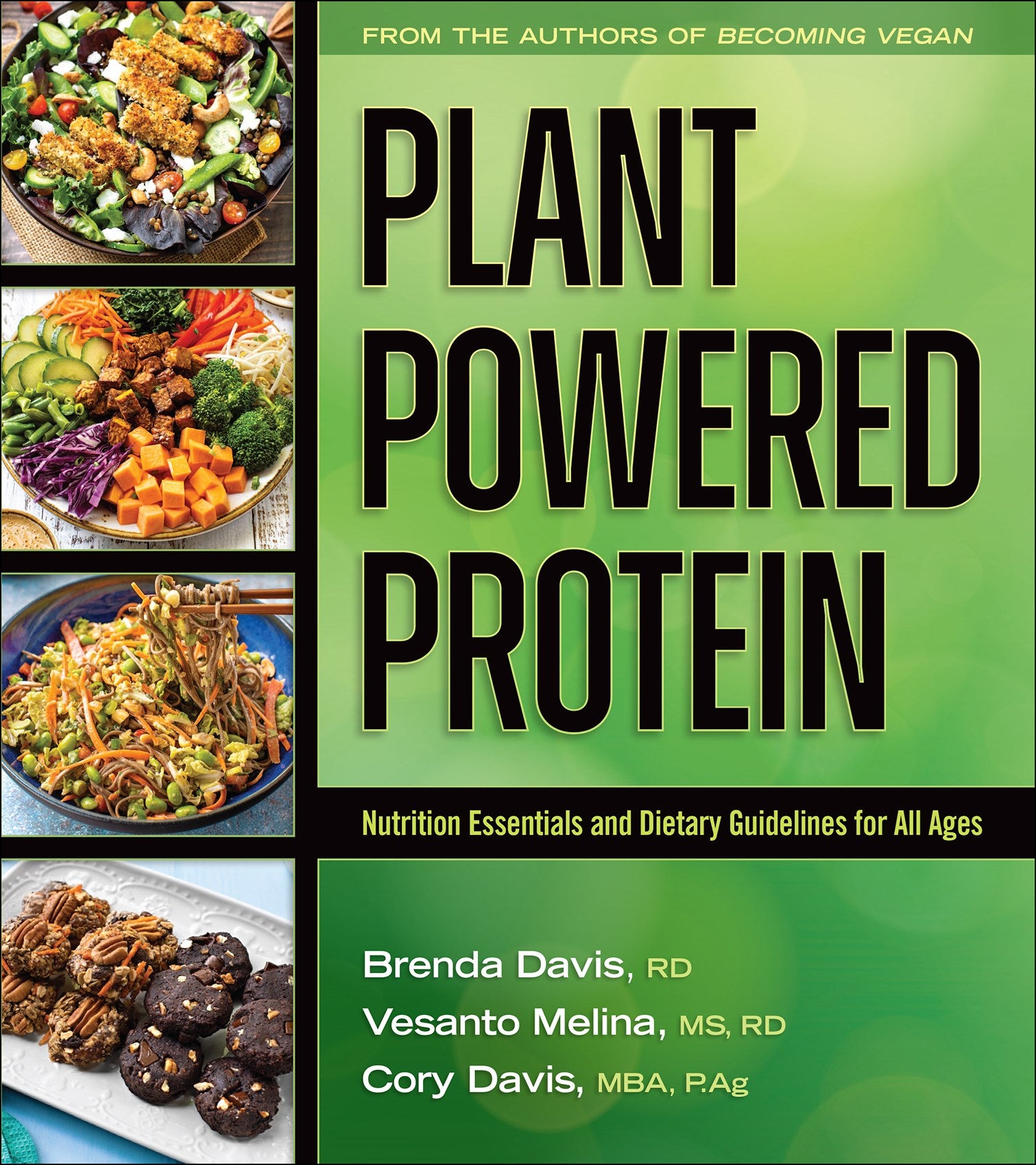 Plant-Powered Protein: Nutrition Essentials and Dietary Guidelines for All Ages