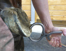 The Essential Hoof Book