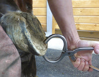 The Essential Hoof Book