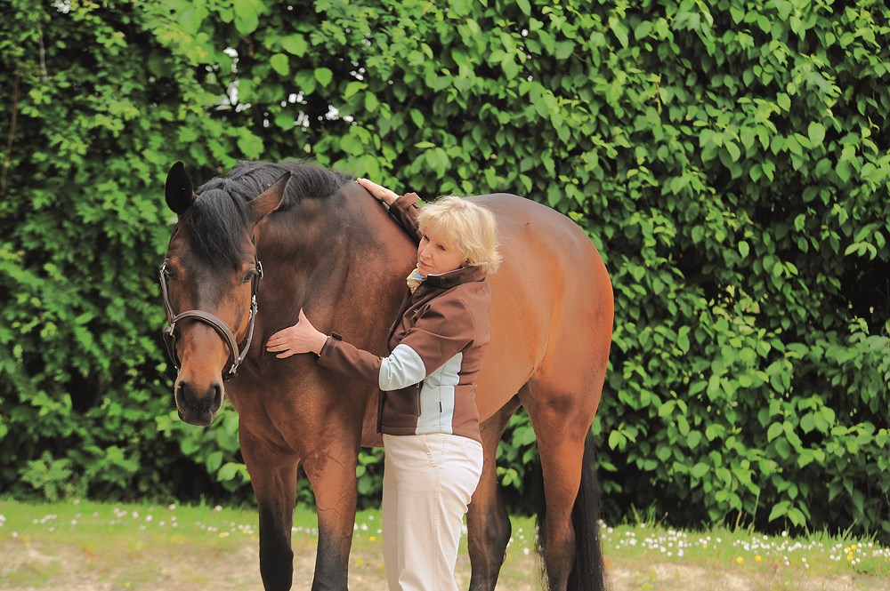 Acupressure for Horses