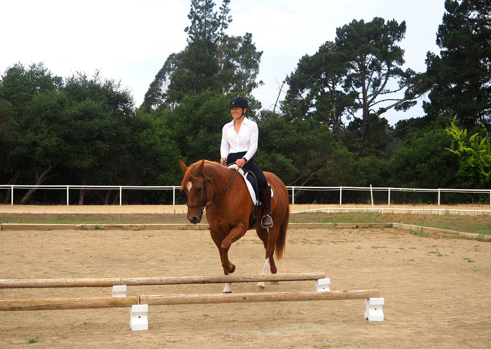 55 Corrective Exercises for Horses