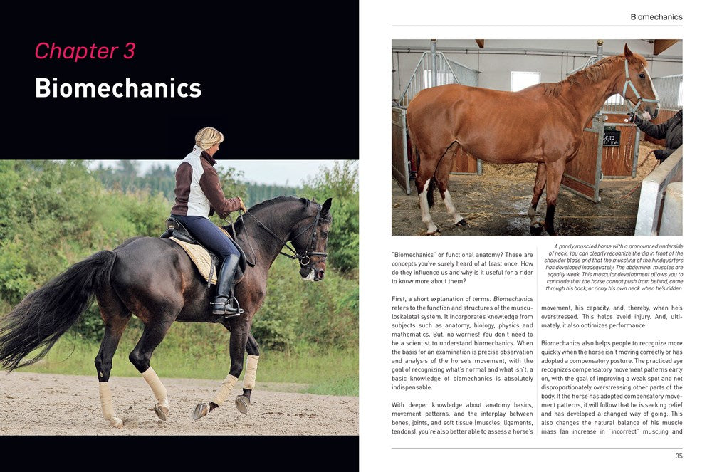 Physical Therapy for Horses: A Visual Course in Massage, Stretching, Rehabilitation, Anatomy, and Biomechanics