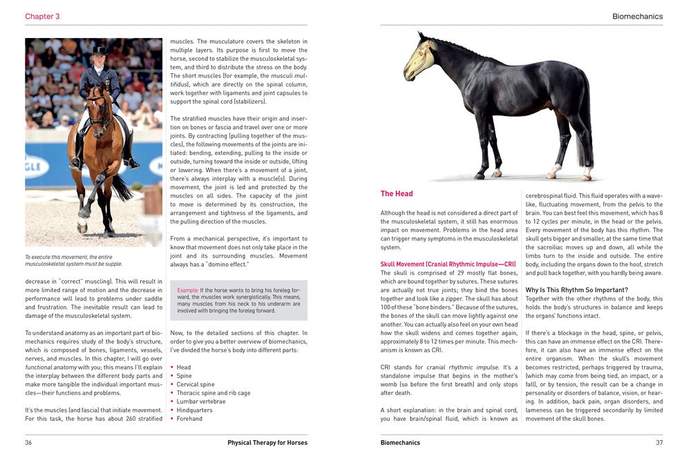 Physical Therapy for Horses: A Visual Course in Massage, Stretching, Rehabilitation, Anatomy, and Biomechanics