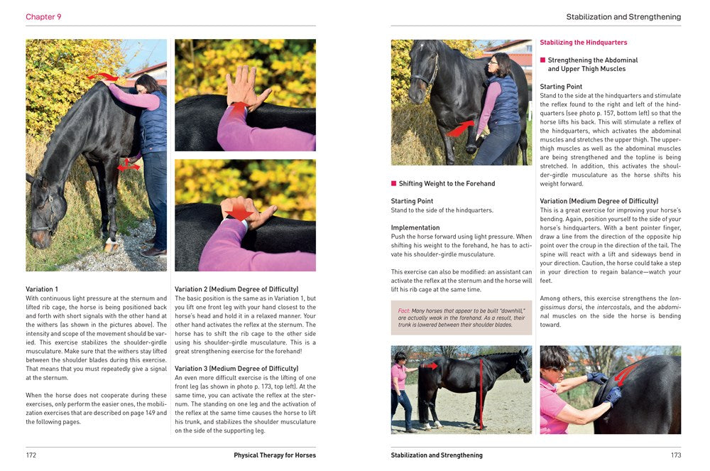 Physical Therapy for Horses: A Visual Course in Massage, Stretching, Rehabilitation, Anatomy, and Biomechanics