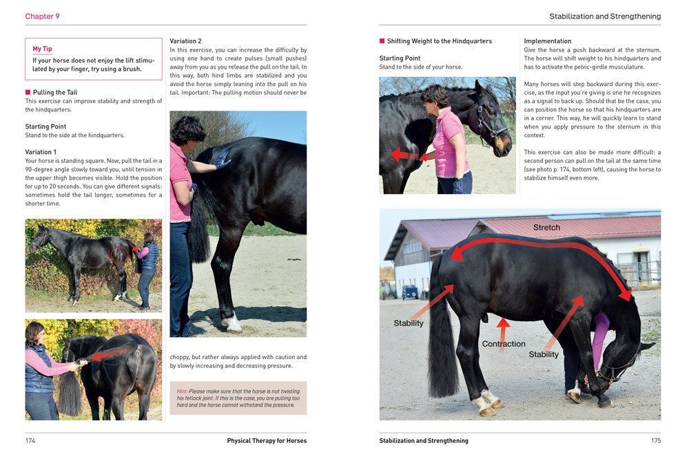 Physical Therapy for Horses: A Visual Course in Massage, Stretching, Rehabilitation, Anatomy, and Biomechanics
