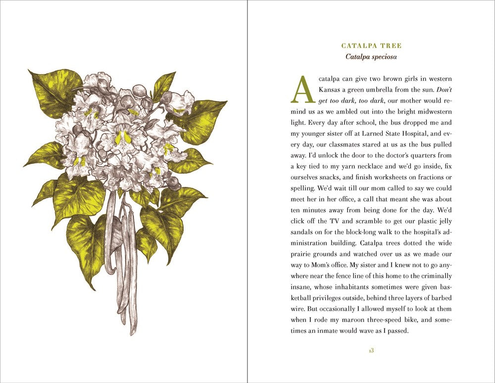 World of Wonders: In Praise of Fireflies, Whale Sharks, and Other Astonishments