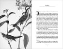 Conversations with Birds