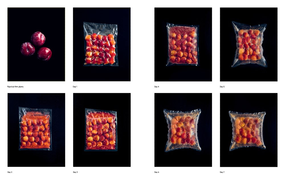 The Noma Guide to Fermentation: Including koji, kombuchas, shoyus, misos, vinegars, garums, lacto-ferments, and black fruits and vegetables