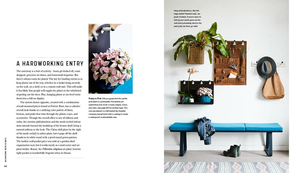 Decorating with Plants