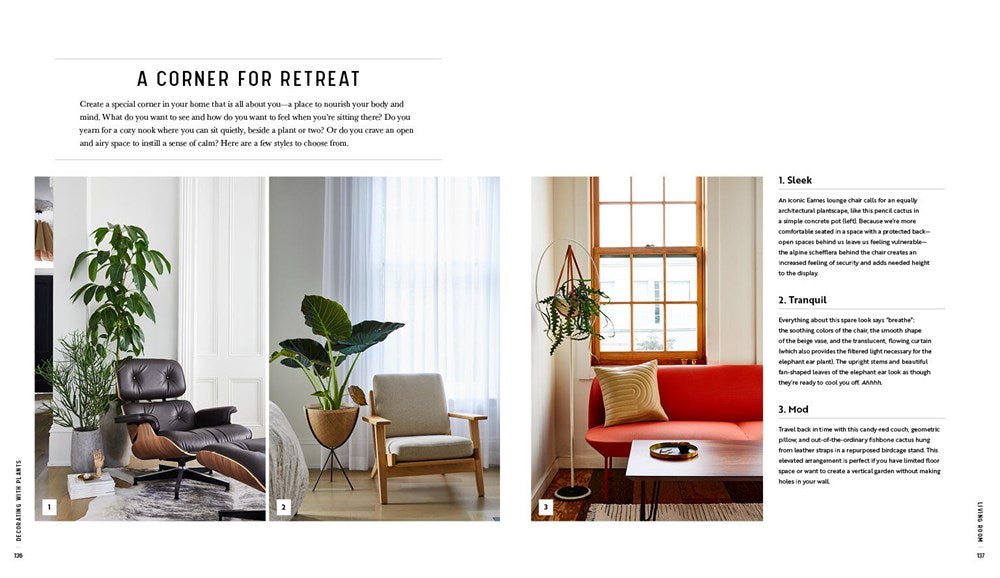 Decorating with Plants