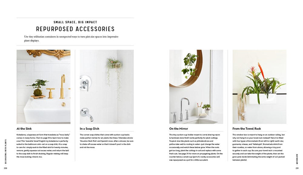 Decorating with Plants