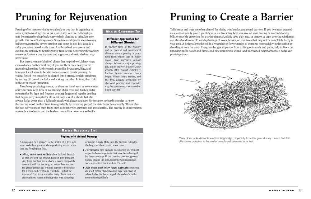 Pruning Made Easy