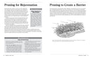 Pruning Made Easy