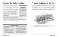 Pruning Made Easy