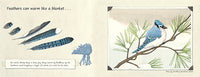 Feathers