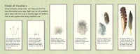 Feathers