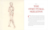 Basic Human Anatomy