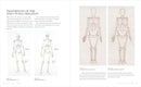 Basic Human Anatomy