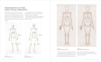 Basic Human Anatomy