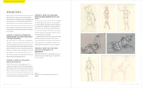 Basic Human Anatomy