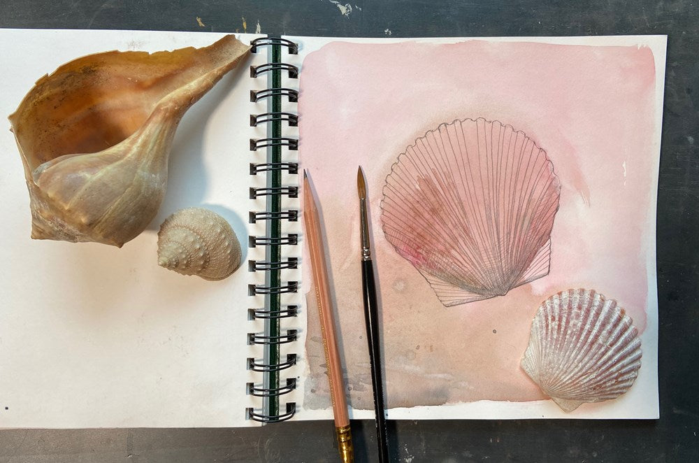 The Path of Drawing