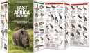 East Africa Wildlife