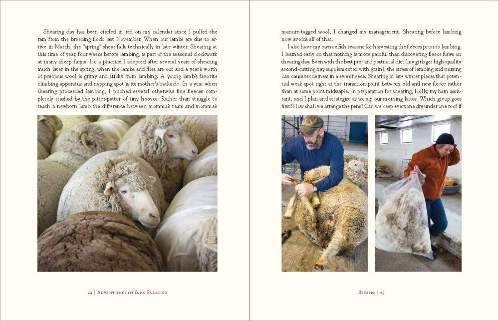 Adventures in Yarn Farming