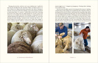 Adventures in Yarn Farming