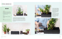 Terrariums - Gardens Under Glass