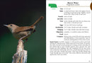 Birds of Nebraska Field Guide