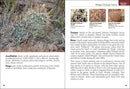 Cactus of Arizona Field Guide