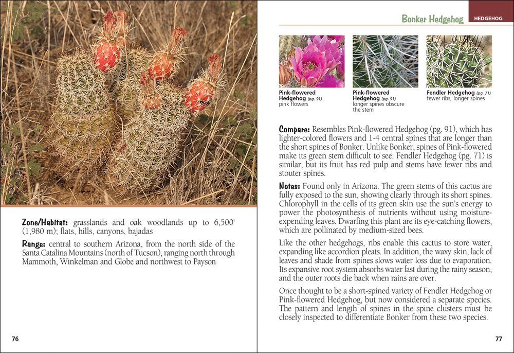 Cactus of Arizona Field Guide