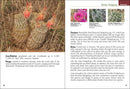 Cactus of Arizona Field Guide