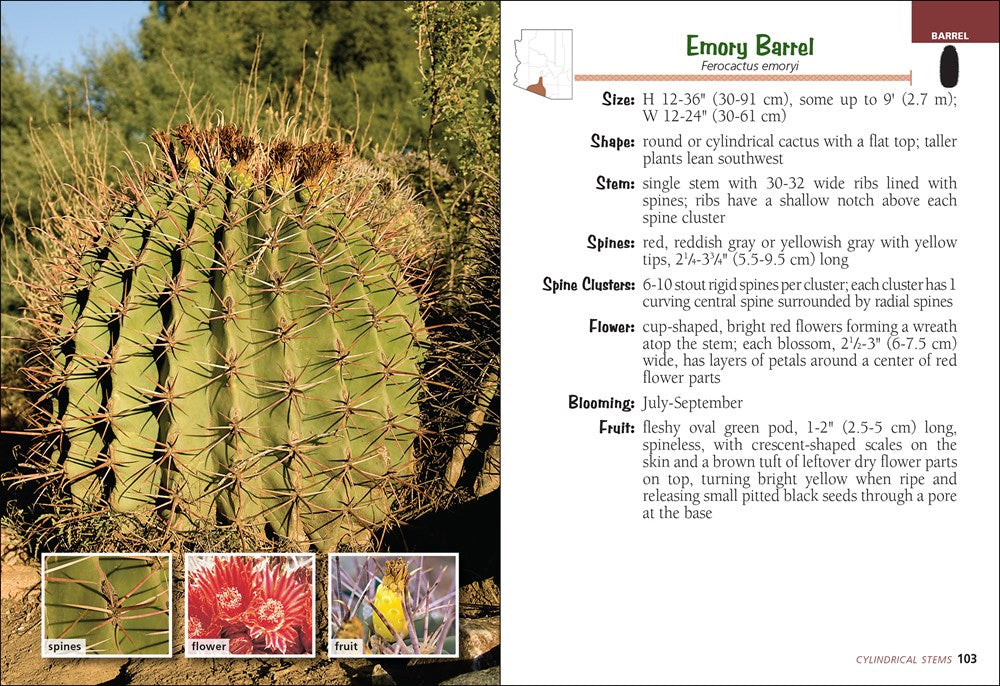 Cactus of Arizona Field Guide