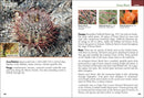 Cactus of Arizona Field Guide