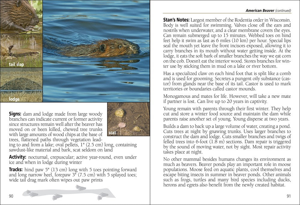 Mammals of Wisconsin Field Guide