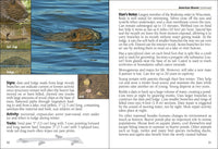 Mammals of Wisconsin Field Guide