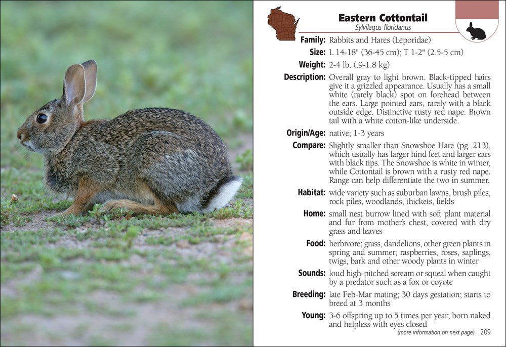 Mammals of Wisconsin Field Guide