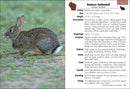 Mammals of Wisconsin Field Guide