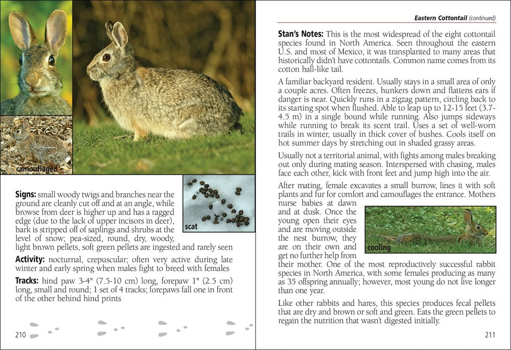 Mammals of Wisconsin Field Guide