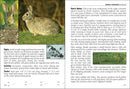 Mammals of Wisconsin Field Guide